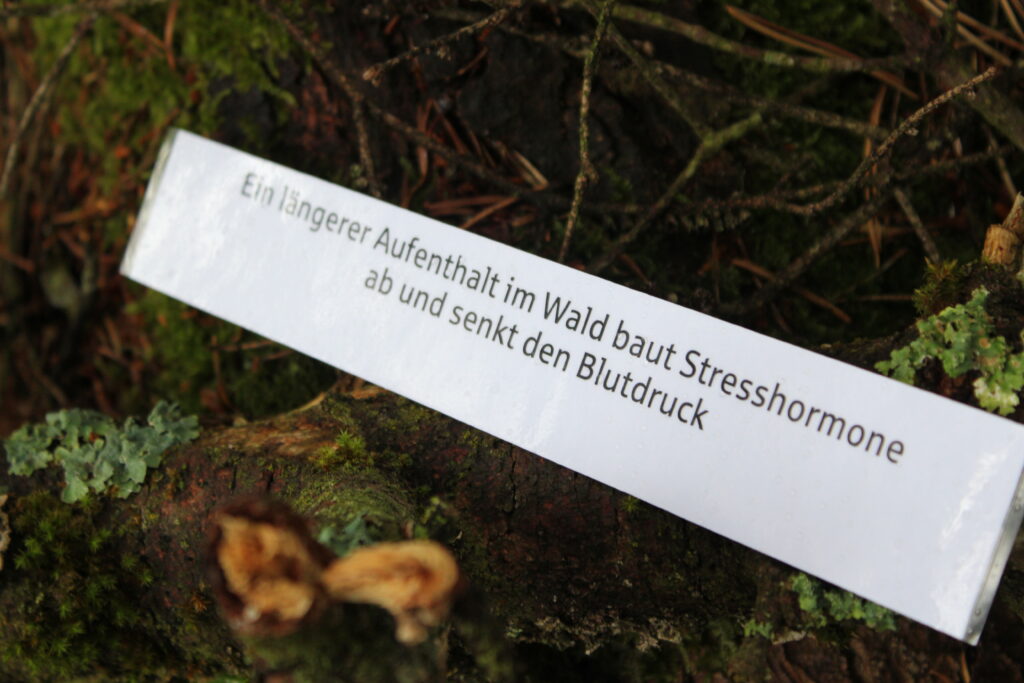 20 Lieblingsplätze der Schwarzwald-Guides