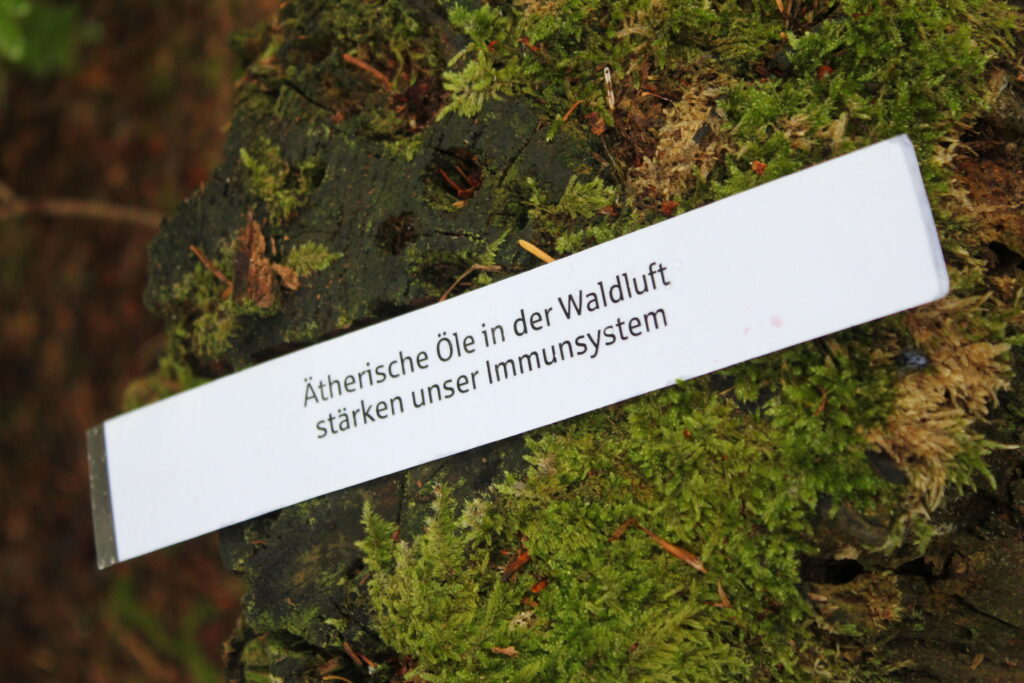 20 Lieblingsplätze der Schwarzwald-Guides