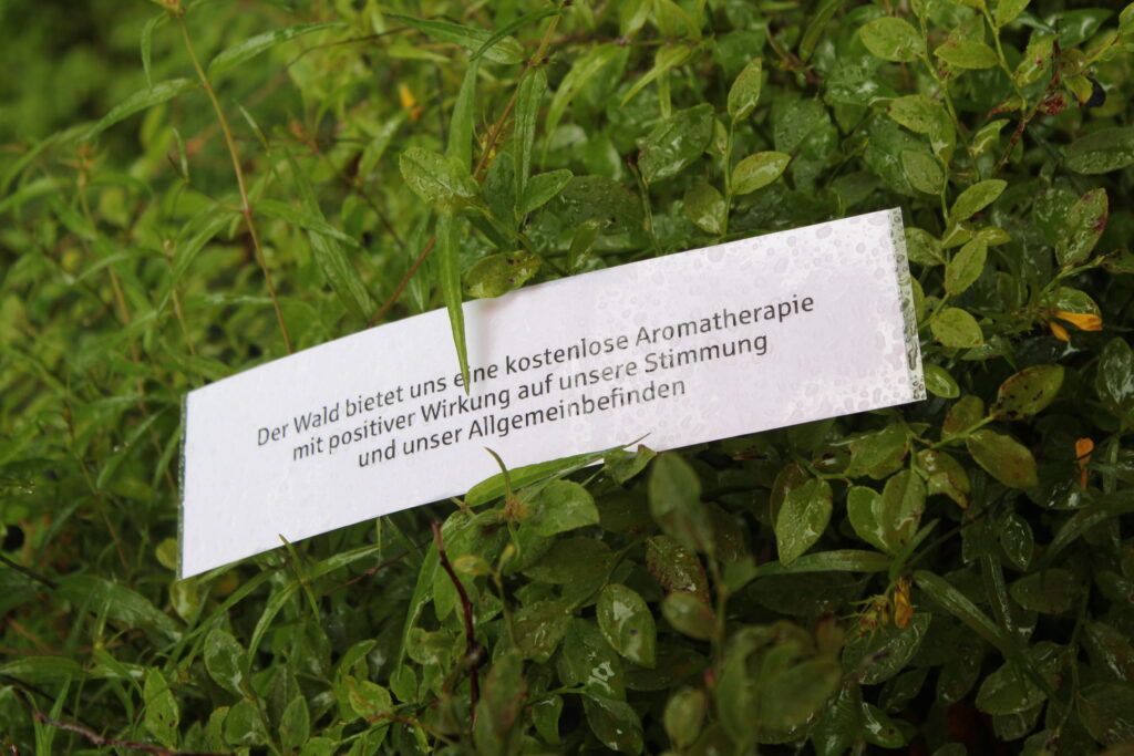 20 Lieblingsplätze der Schwarzwald-Guides
