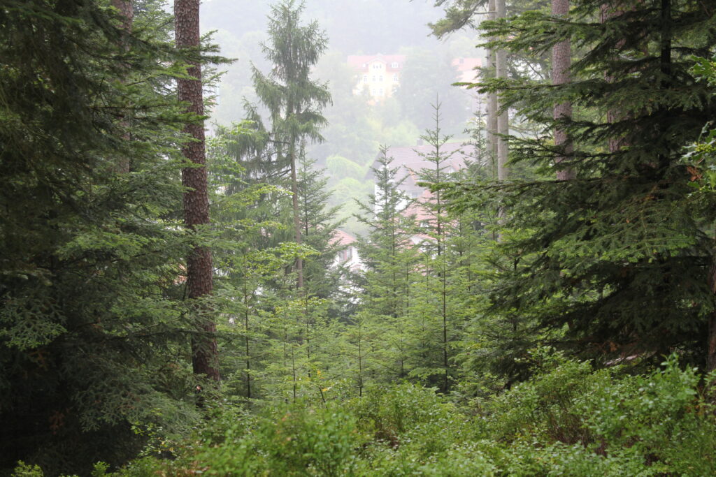 20 Lieblingsplätze der Schwarzwald-Guides
