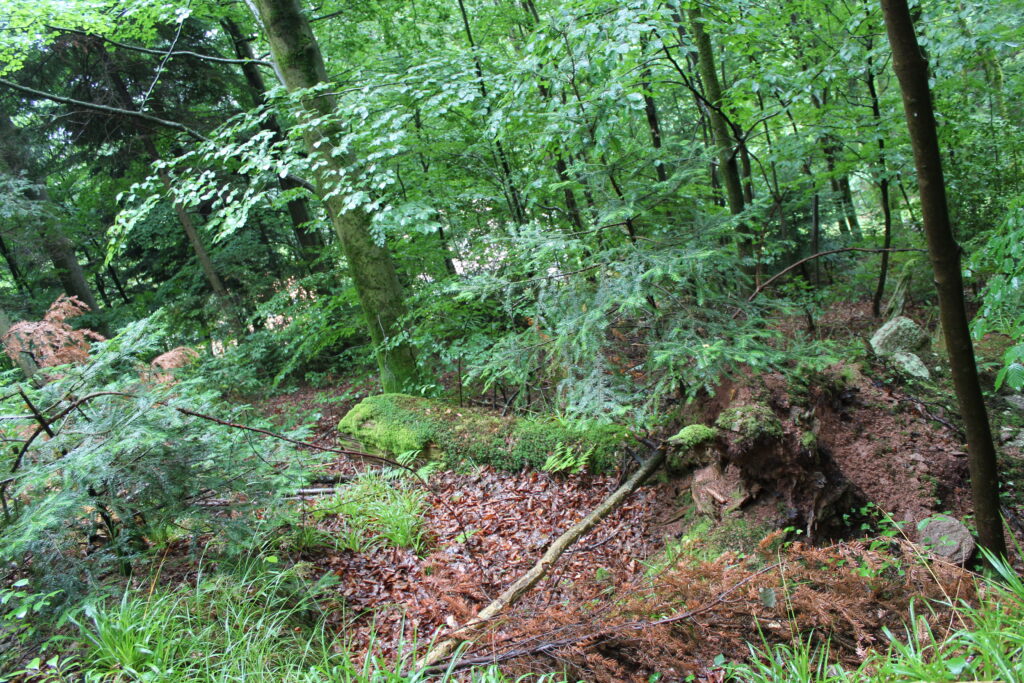 20 Lieblingsplätze der Schwarzwald-Guides