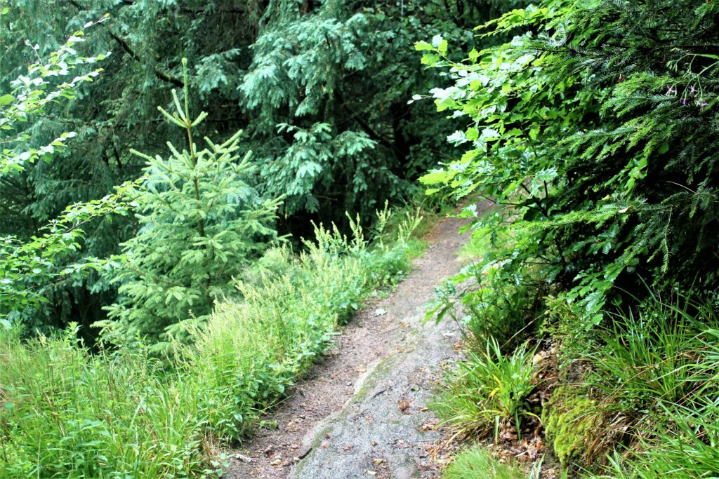 20 Lieblingsplätze der Schwarzwald-Guides