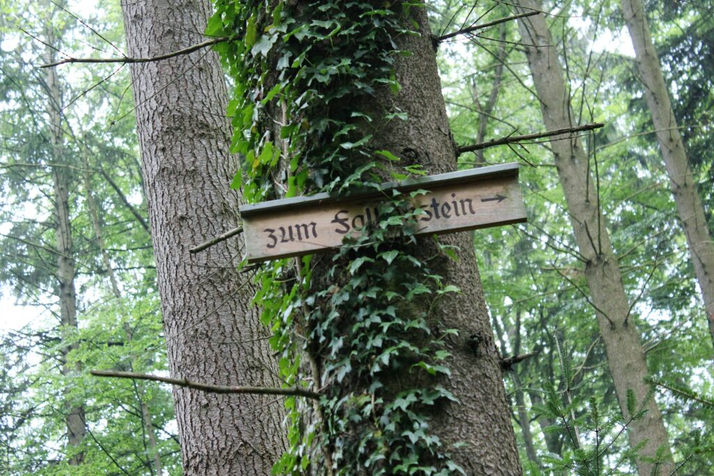 20 Lieblingsplätze der Schwarzwald-Guides