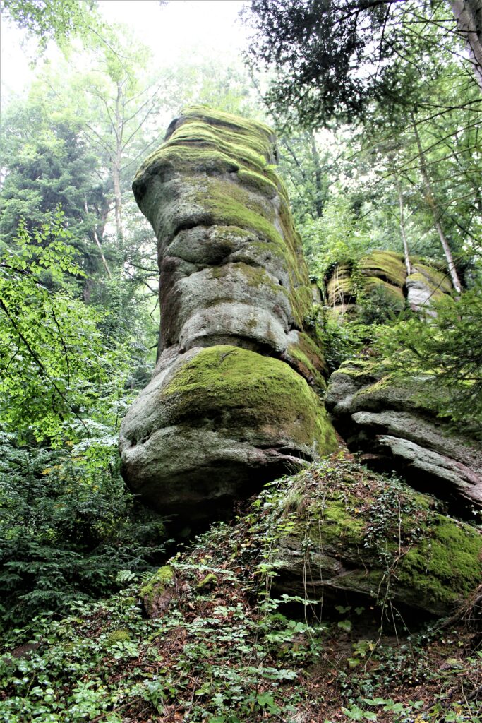 20 Lieblingsplätze der Schwarzwald-Guides