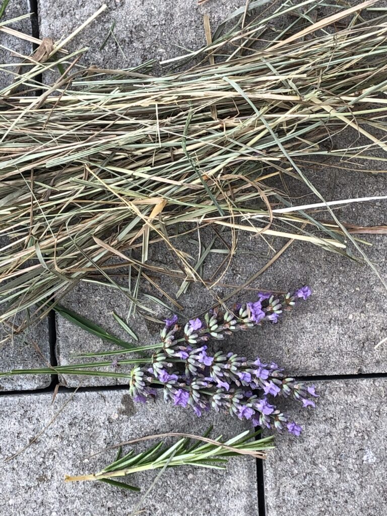 Online-Ferienprogramm Wiese Duftkissen