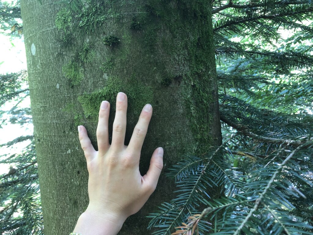 Microadventure Barfuß-Challenge