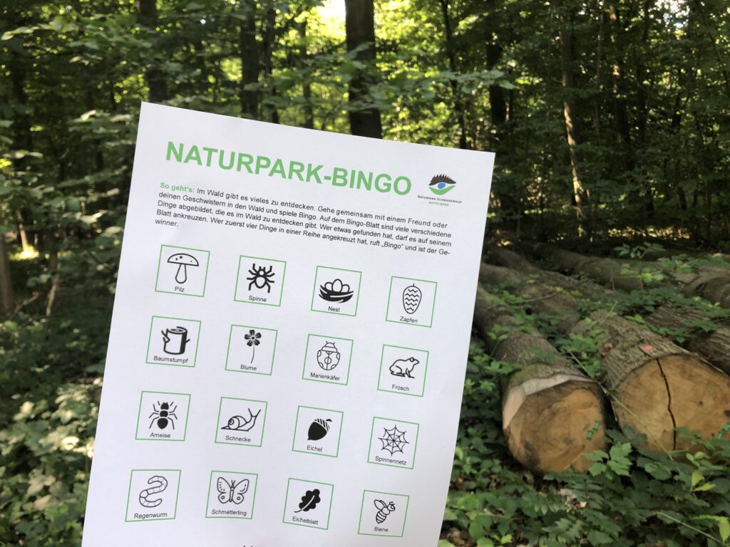Online-Feriaenprogramm Woche 3: Wald