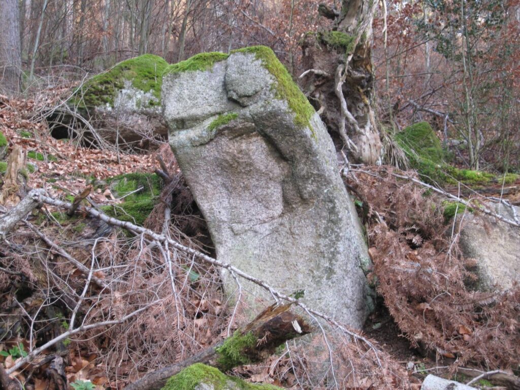 Online-Ferienprogramm Woche 3: Wald