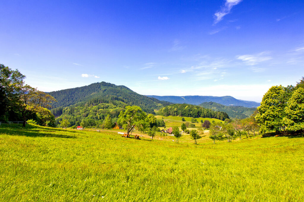 Alpirsbacher Tourentipp - Maisacher Turmsteig