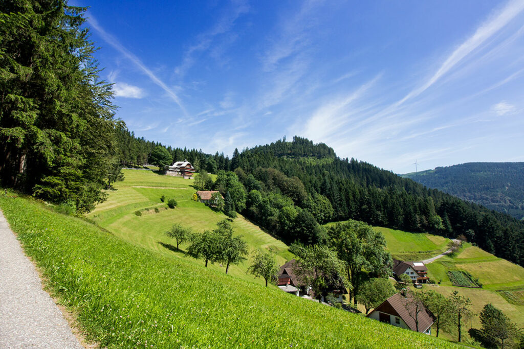 Alpirsbacher Tourentipp - Maisacher Turmsteig