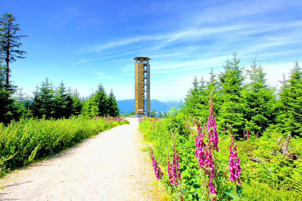 Alpirsbacher Tourentipp - Maisacher Turmsteig