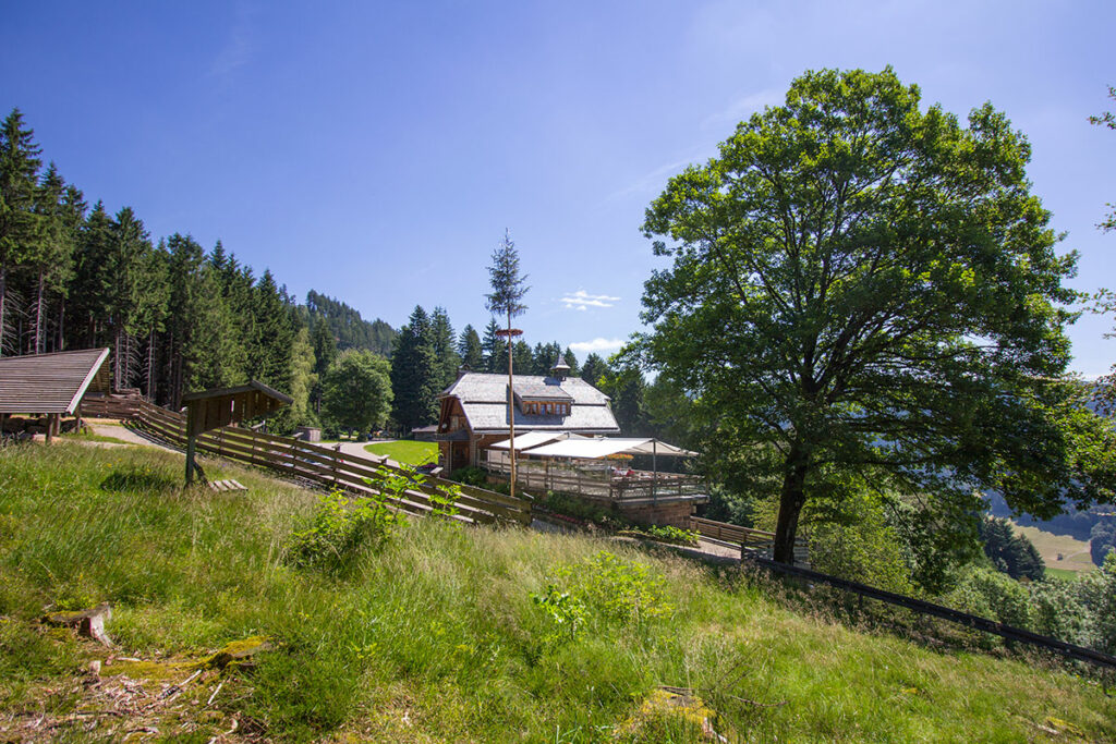 Alpirsbacher Tourentipp - Maisacher Turmsteig