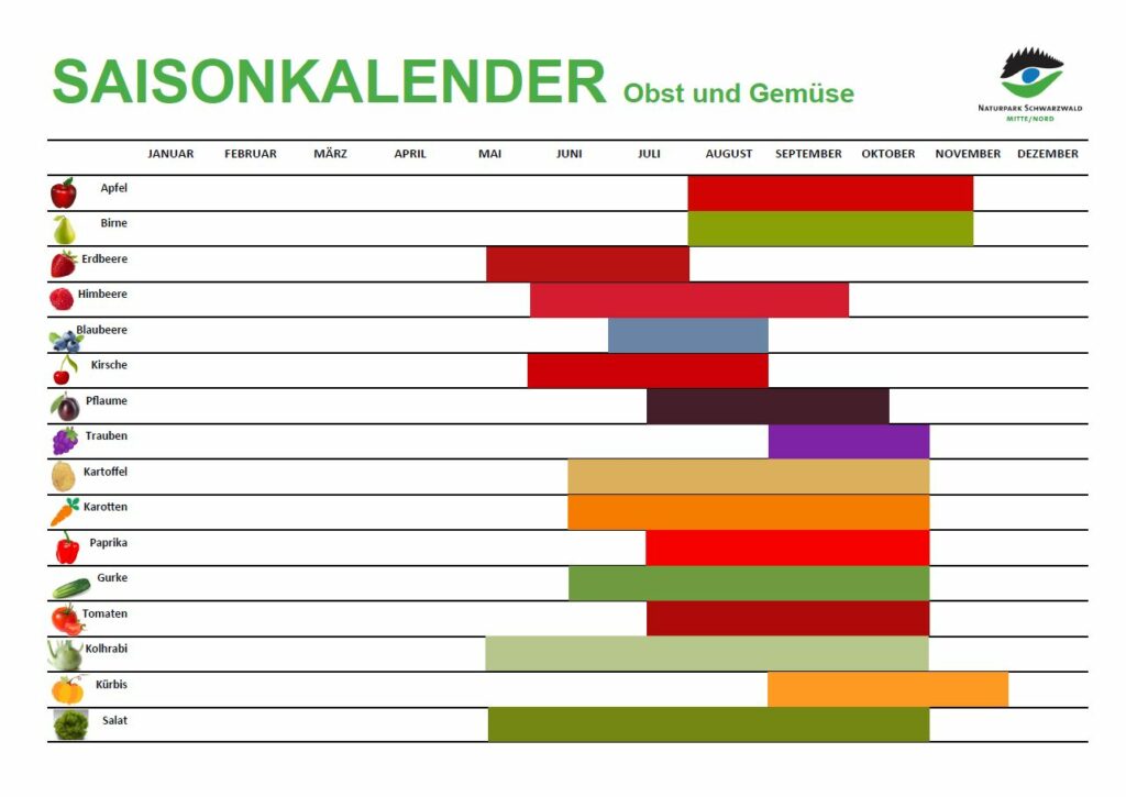 Online-Ferienprogramm Woche 6 - Klimaschutz