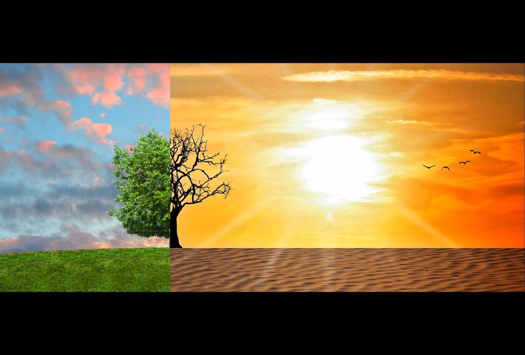 Online-Ferienprogramm Woche 6 - Klimaschutz