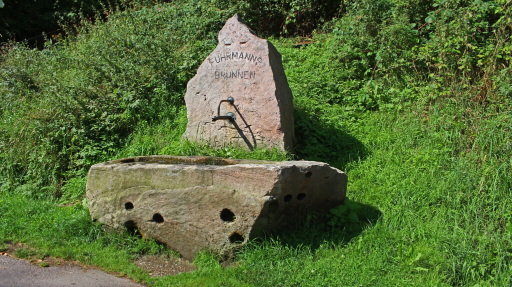 Schwarzwald-Guide Martin Grießhaber auf dem Huzenbacher Eiszeitpfad