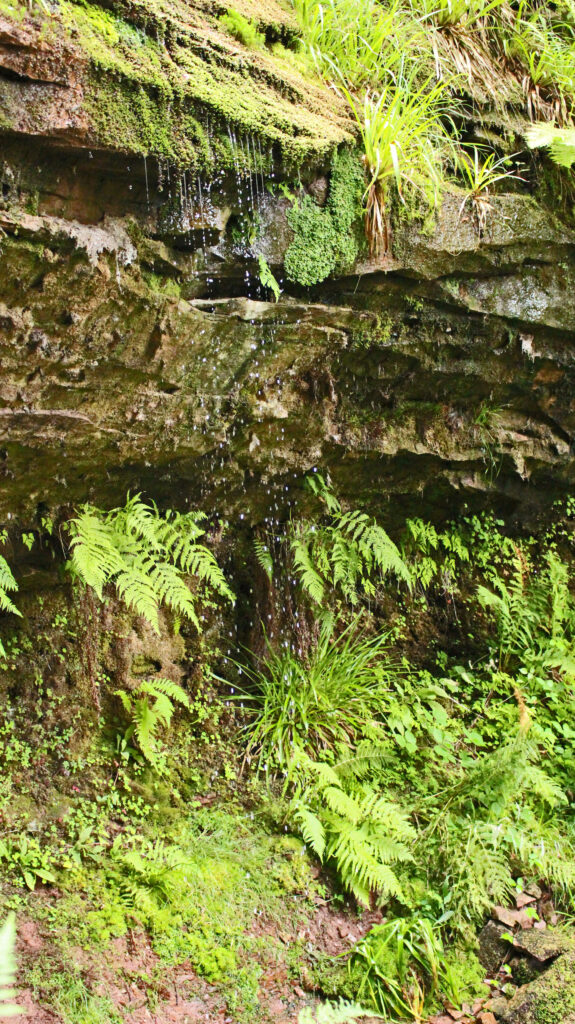 Schwarzwald-Guide Martin Grießhaber auf dem Huzenbacher Eiszeitpfad