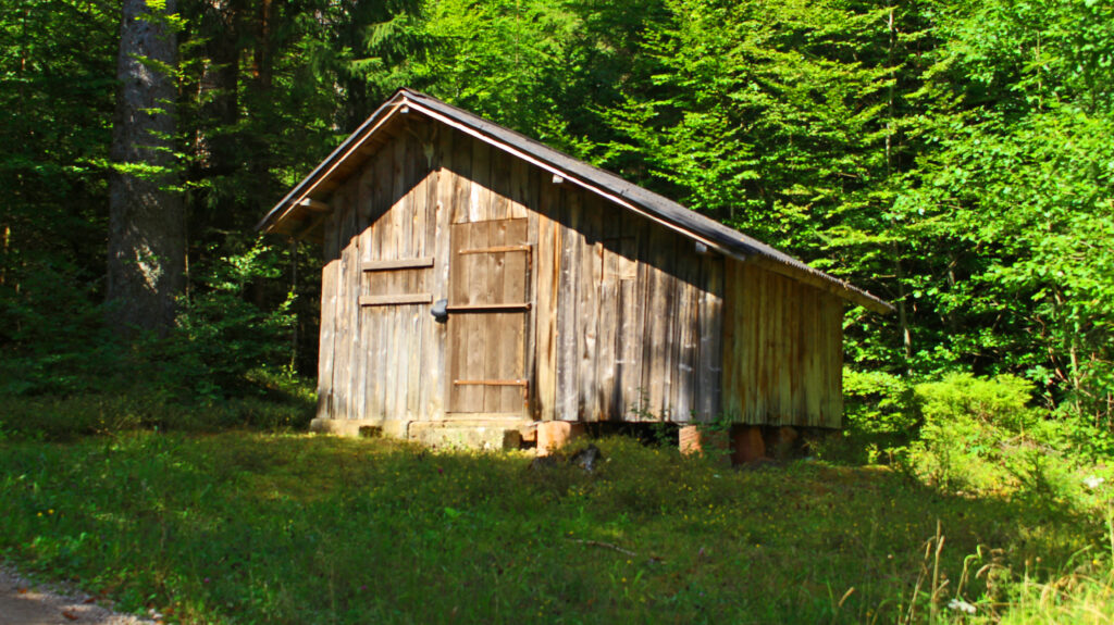 Schwarzwald-Guide Martin Grießhaber auf dem Huzenbacher Eiszeitpfad
