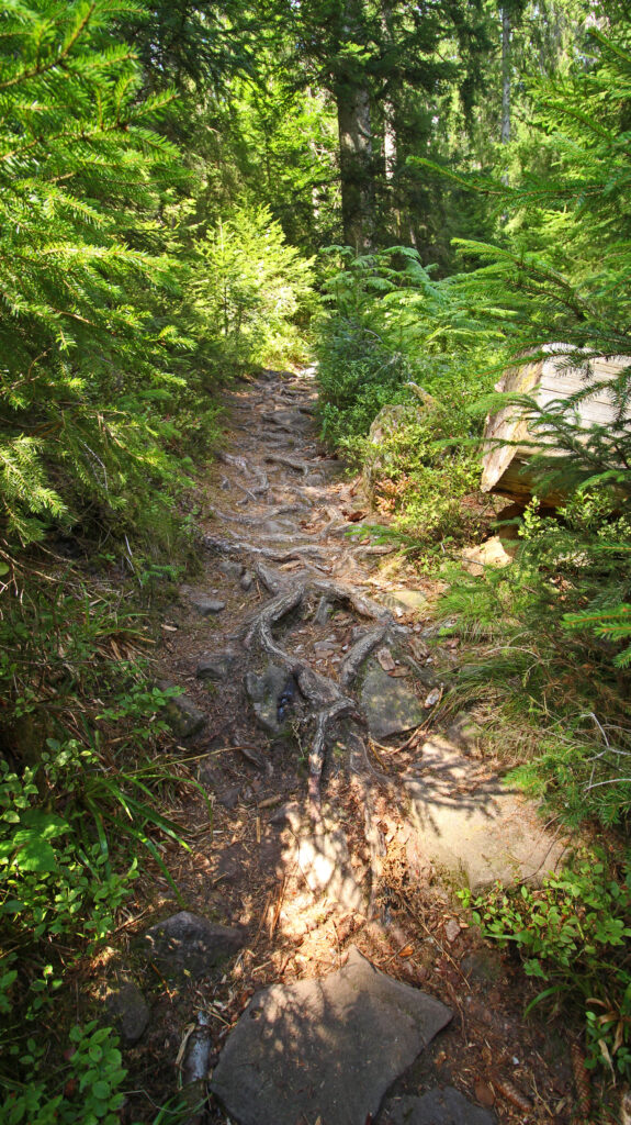 Schwarzwald-Guide Martin Grießhaber auf dem Huzenbacher Eiszeitpfad