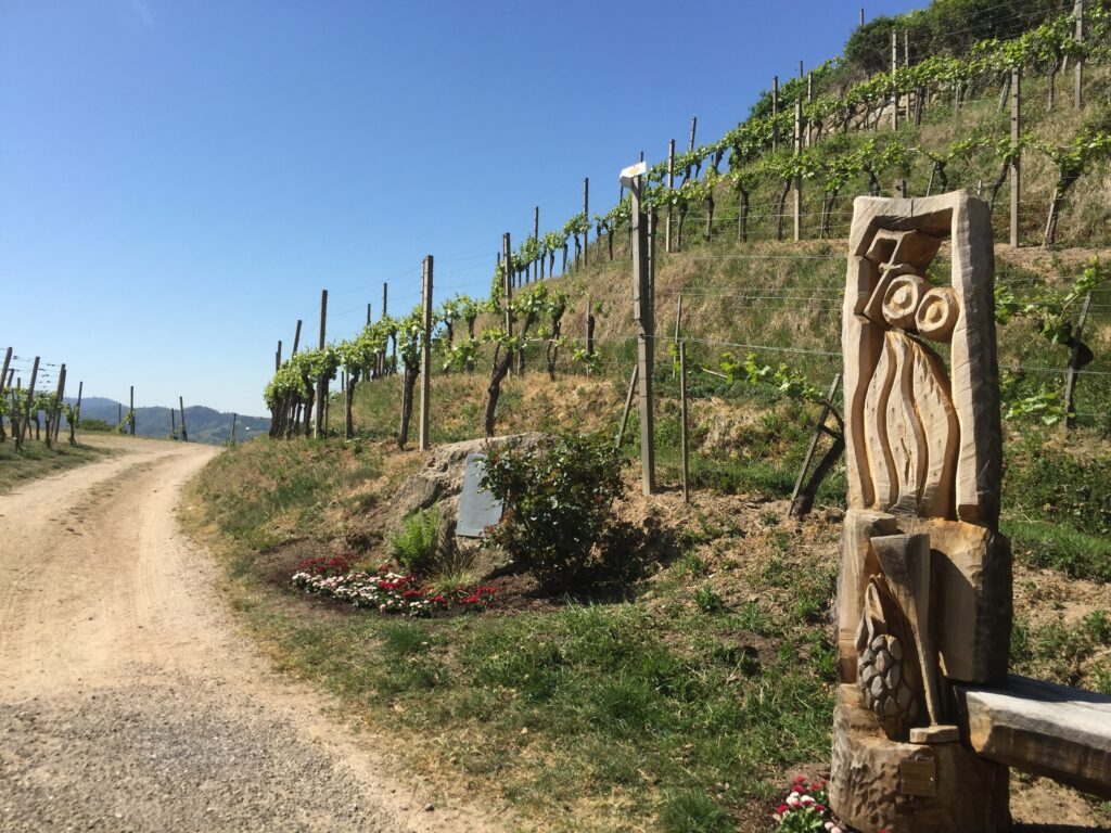 Weinparadies Ortenau - Ortenauer Weinpfad -