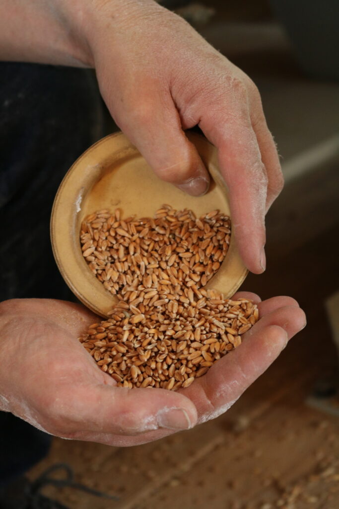 Naturpark-Laib - Brot aus dem Schwarzwald - Korn