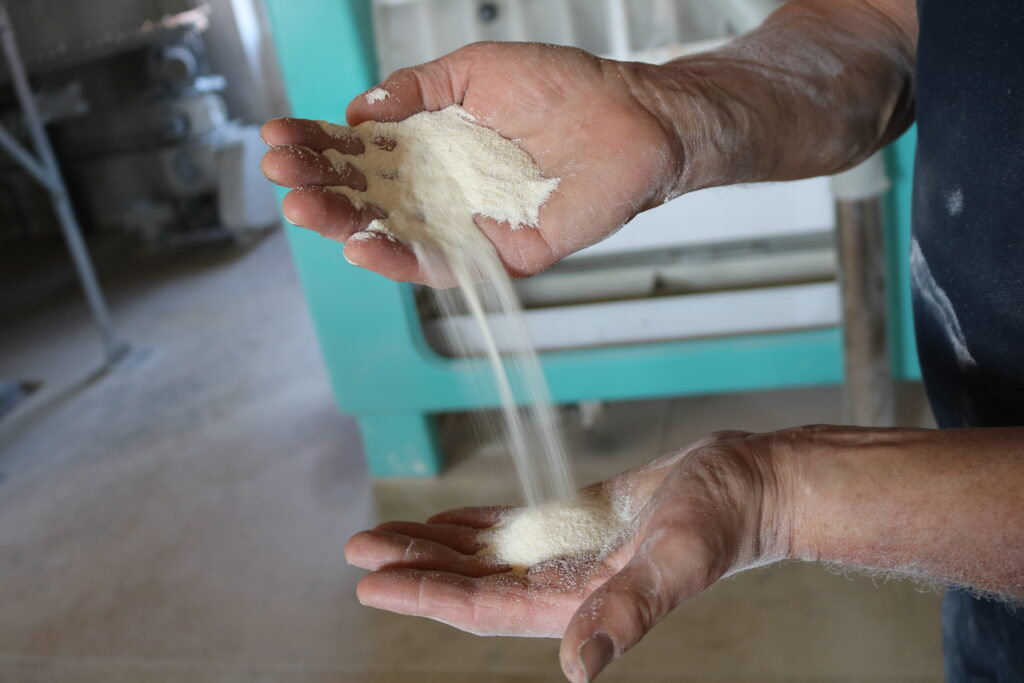 Naturpark-Laib - Brot aus dem Schwarzwald - Mehl