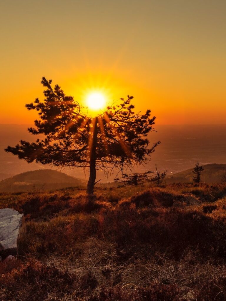 Microadventure Sonnenaufgang Sonnenuntergang Heimatort