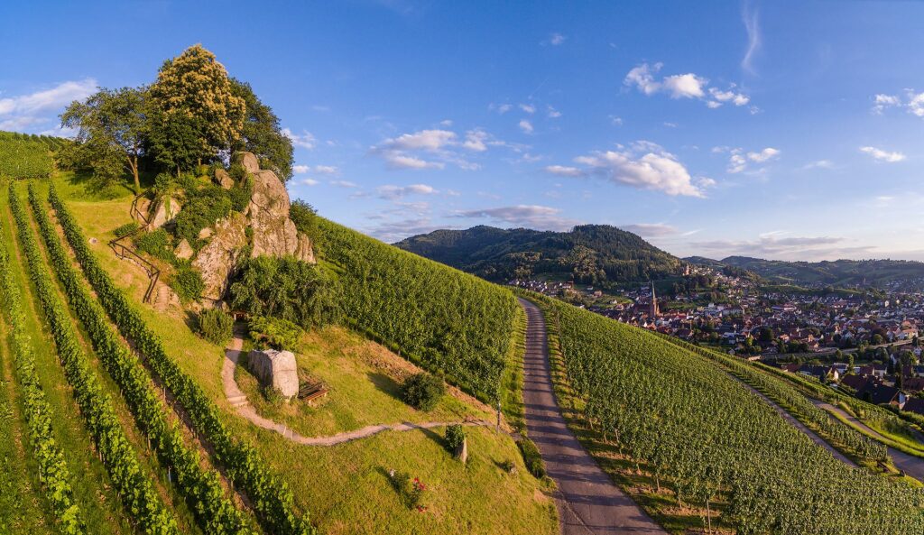 Weinparadies Ortenau - Ortenauer Weinpfad - Kappelrodeck mit Dasenstein