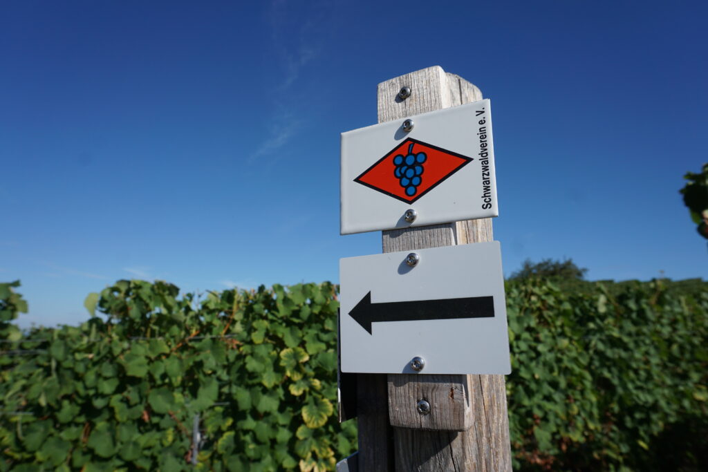 Weinparadies Ortenau - Ortenauer Weinpfad - Oberkirch