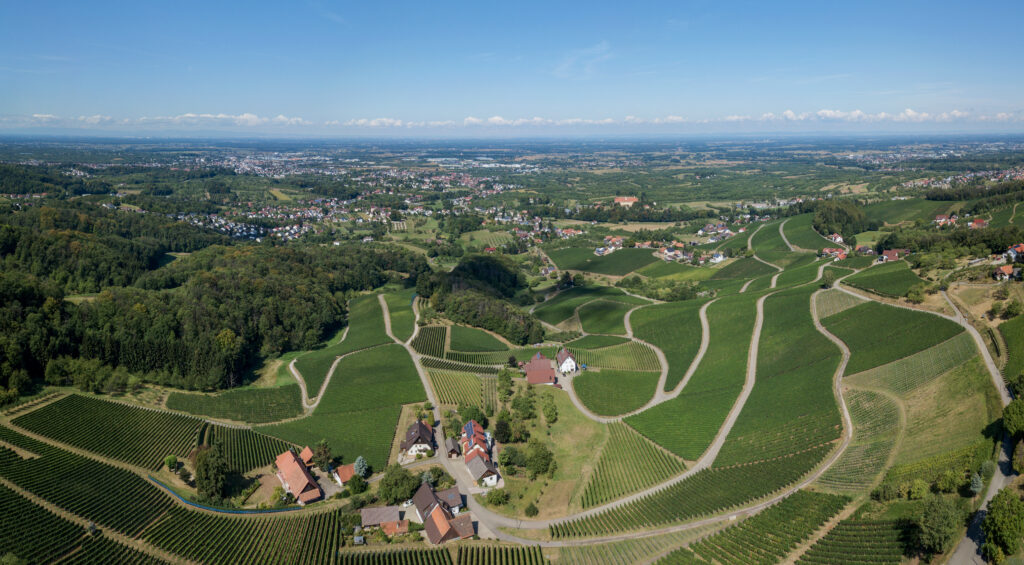 Weinparadies Ortenau - Ortenauer Weinpfad - Sasbach Obersasbach