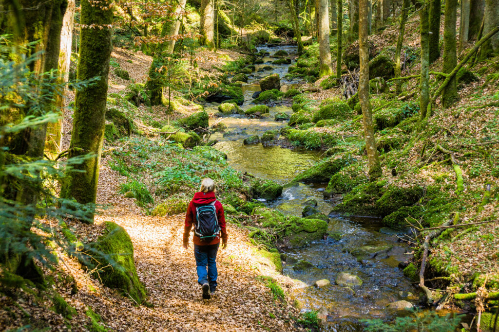 Alpirsbacher Tourentipp Schweinbachtal bei Hirsau