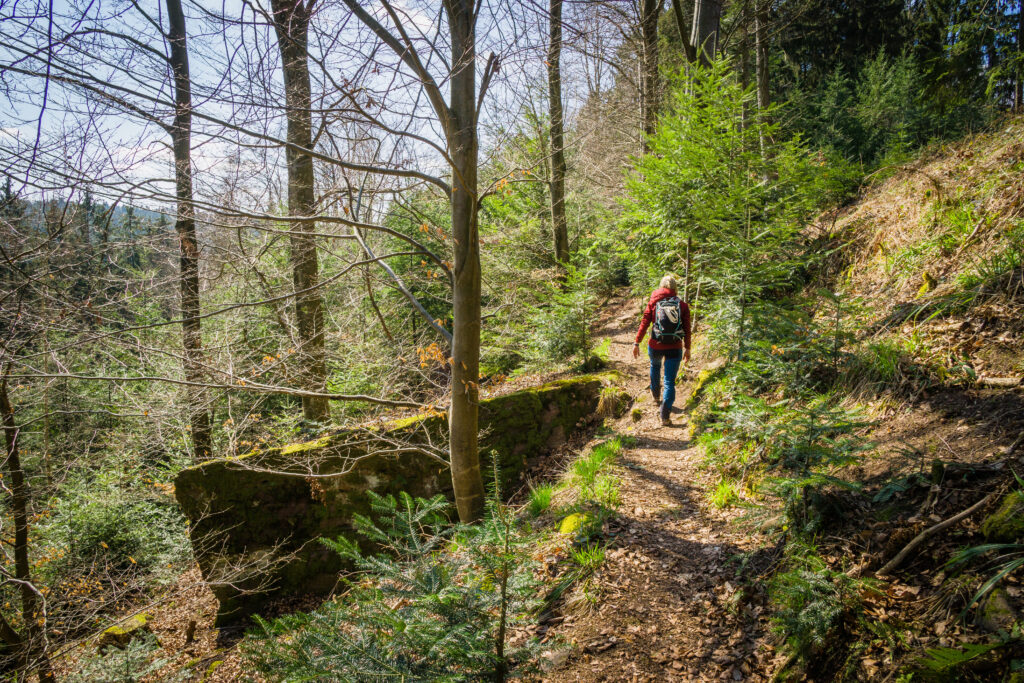 Alpirsbacher Tourentipp - Schweinbachtal bei Hirsau