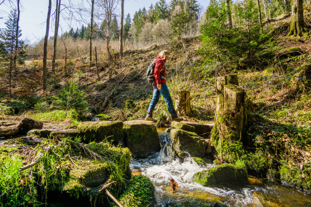 Alpirsbacher Tourentipp Schweinbachtal bei Hirsau