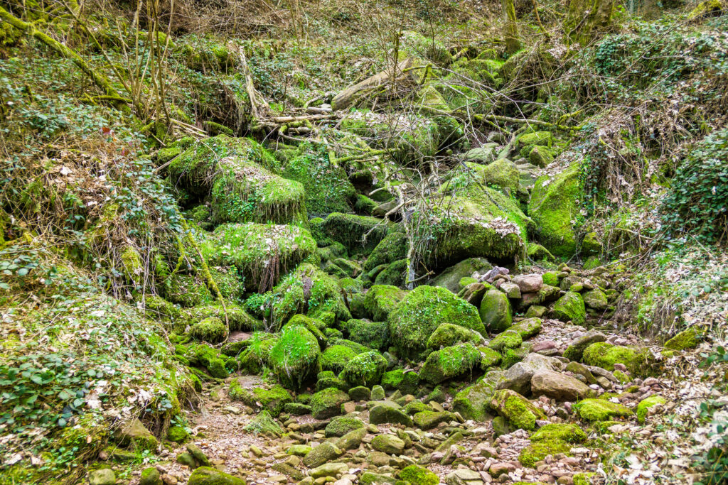 Alpirsbacher Tourentipp Schweinbachtal bei Hirsau