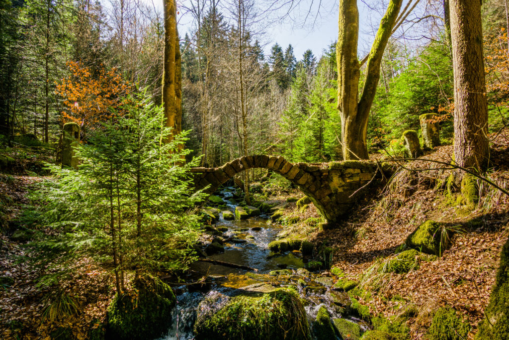 Alpirsbacher Tourentipp Schweinbachtal bei Hirsau