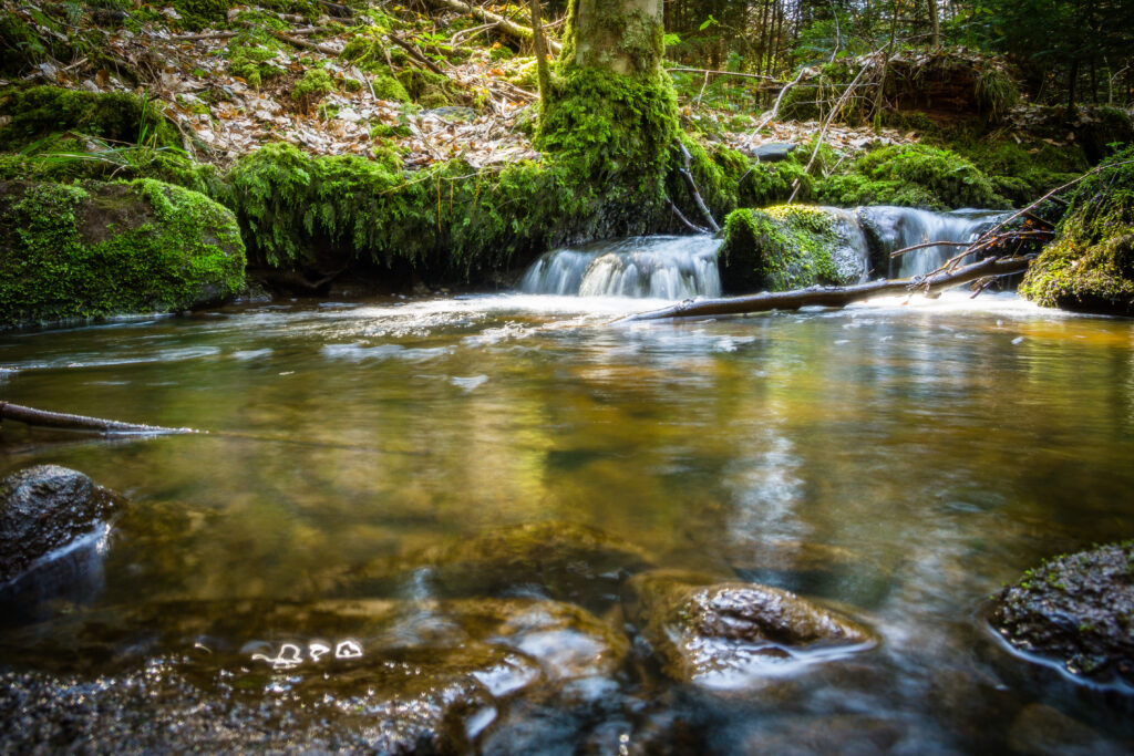 Alpirsbacher Tourentipp Schweinbachtal bei Hirsau