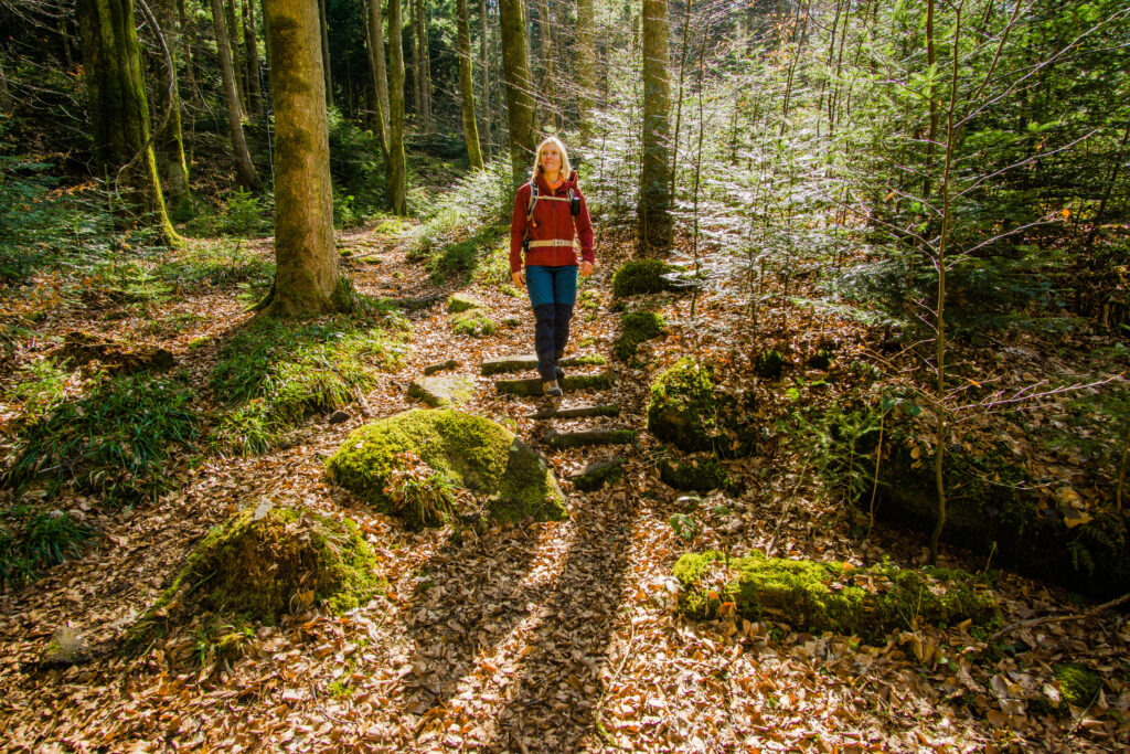 Alpirsbacher Tourentipp - Schweinbachtal bei Hirsau