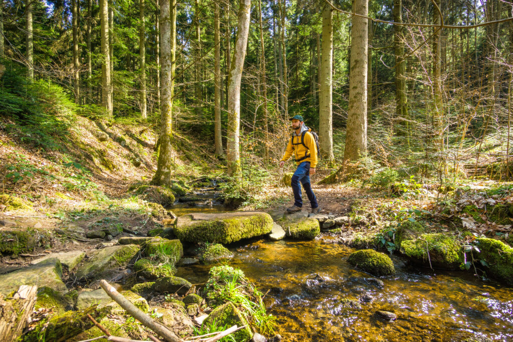 Alpirsbacher Tourentipp Schweinbachtal bei Hirsau