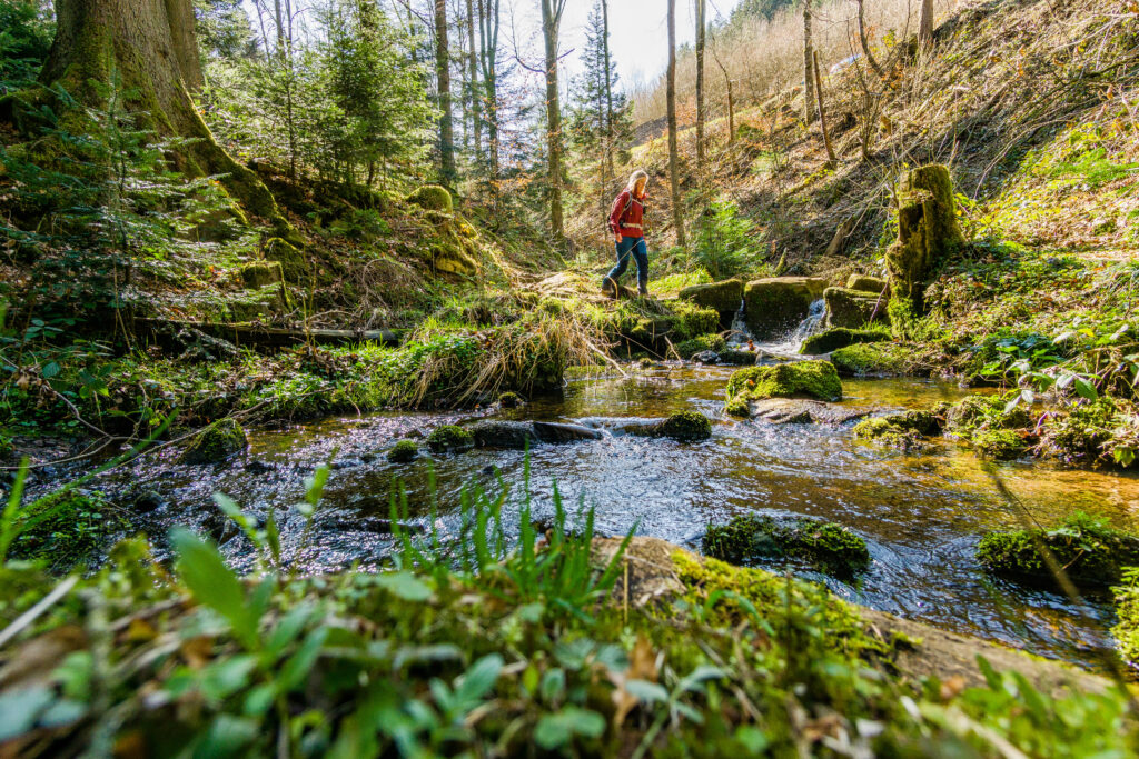 Alpirsbacher Tourentipp Schweinbachtal bei Hirsau