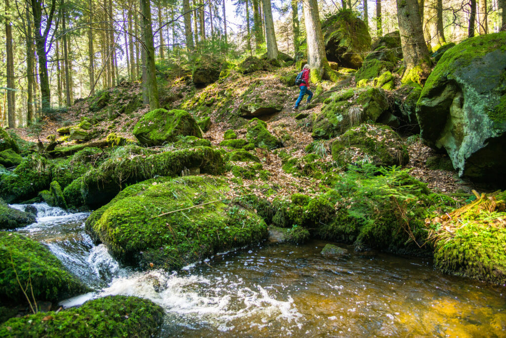 Alpirsbacher Tourentipp Schweinbachtal bei Hirsau