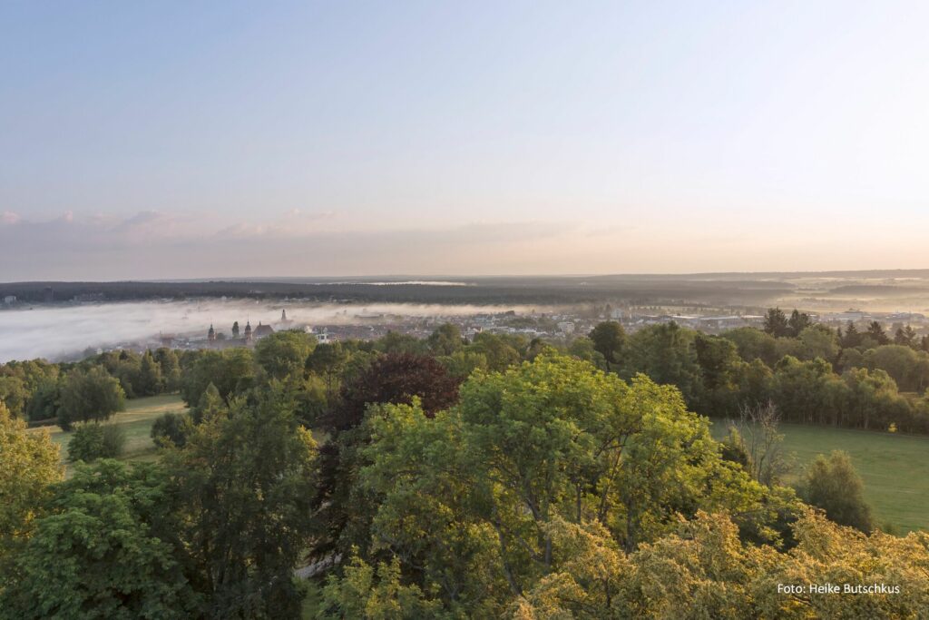 Alpirsbacher Tourentipp Premiumweg TANNENRIESEN Freudenstadt
