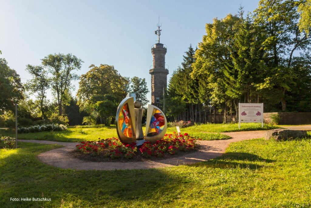 Alpirsbacher Tourentipp Premiumweg TANNENRIESEN Freudenstadt