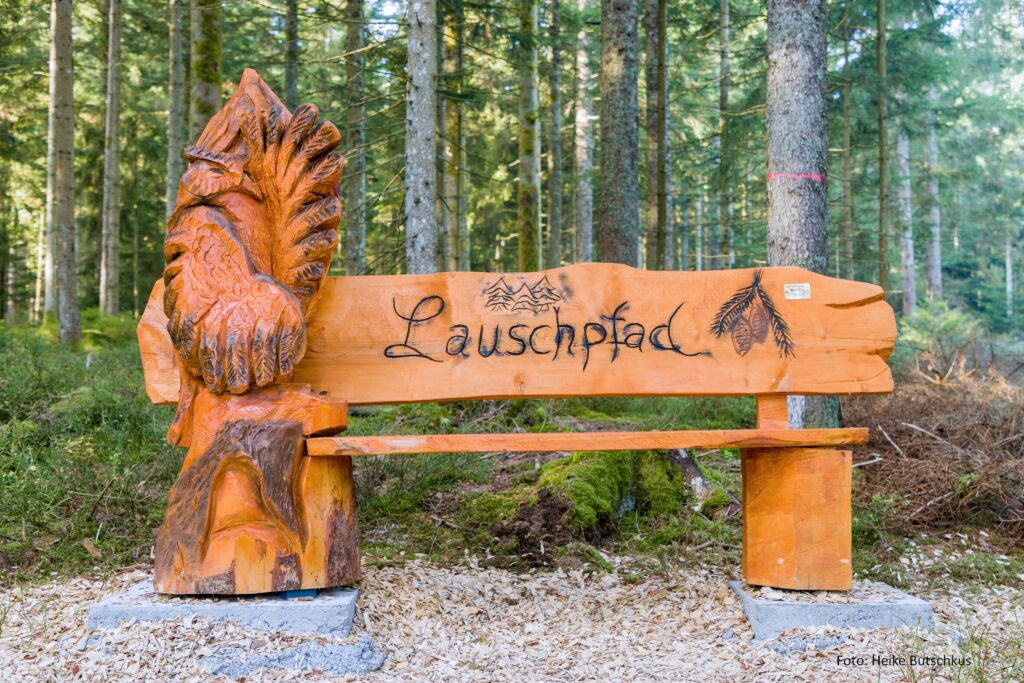 Alpirsbacher Tourentipp Premiumweg TANNENRIESEN Freudenstadt