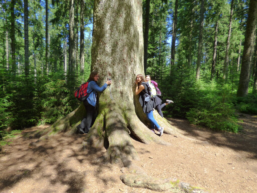 Alpirsbacher Tourentipp Premiumweg TANNENRIESEN Freudenstadt