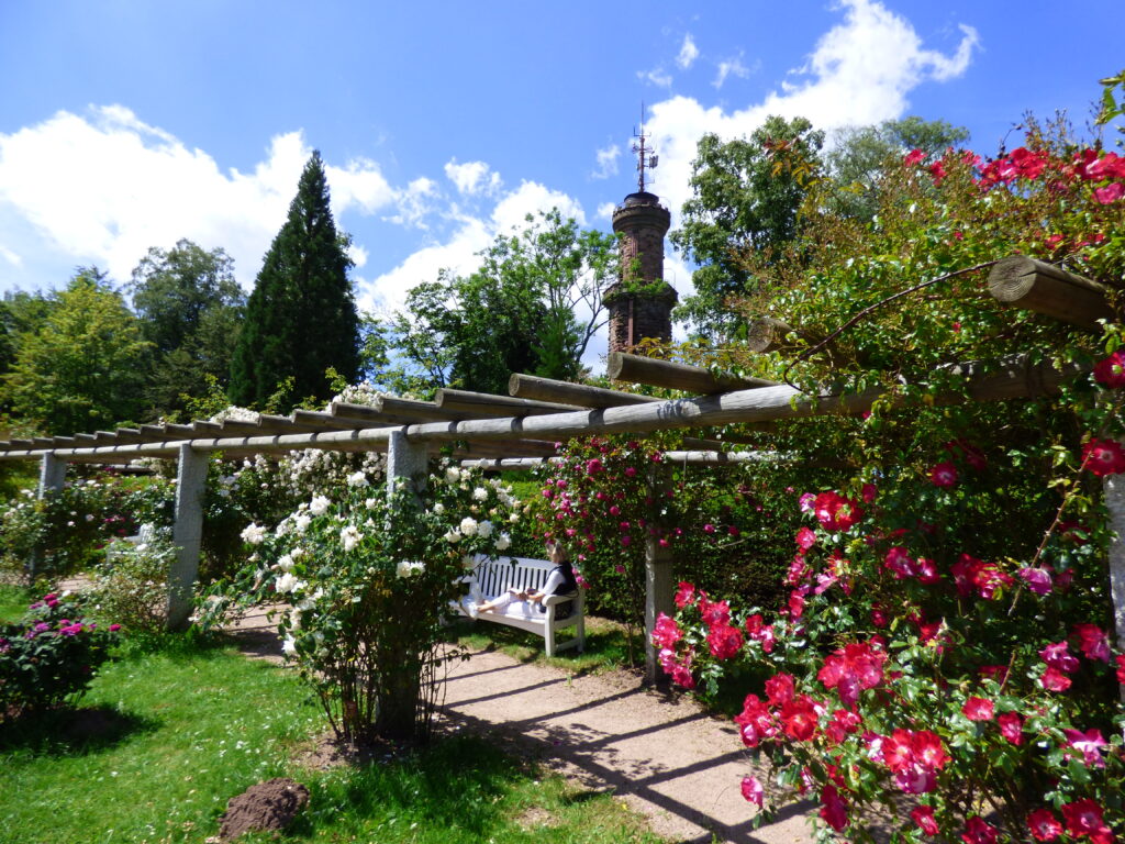 Alpirsbacher Tourentipp Premiumweg TANNENRIESEN Freudenstadt