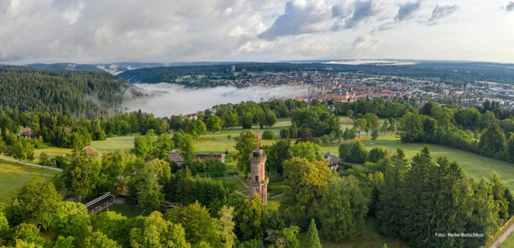 Alpirsbacher Tourentipp Premiumweg TANNENRIESEN Freudenstadt