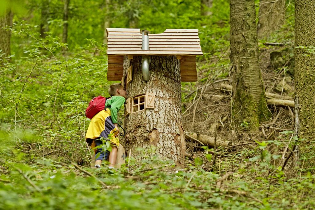 Geocaching Löwenzahn VDN