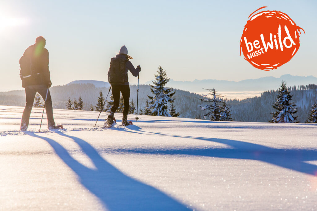 Winterspaß der Menschen und Winterruhe der Tiere