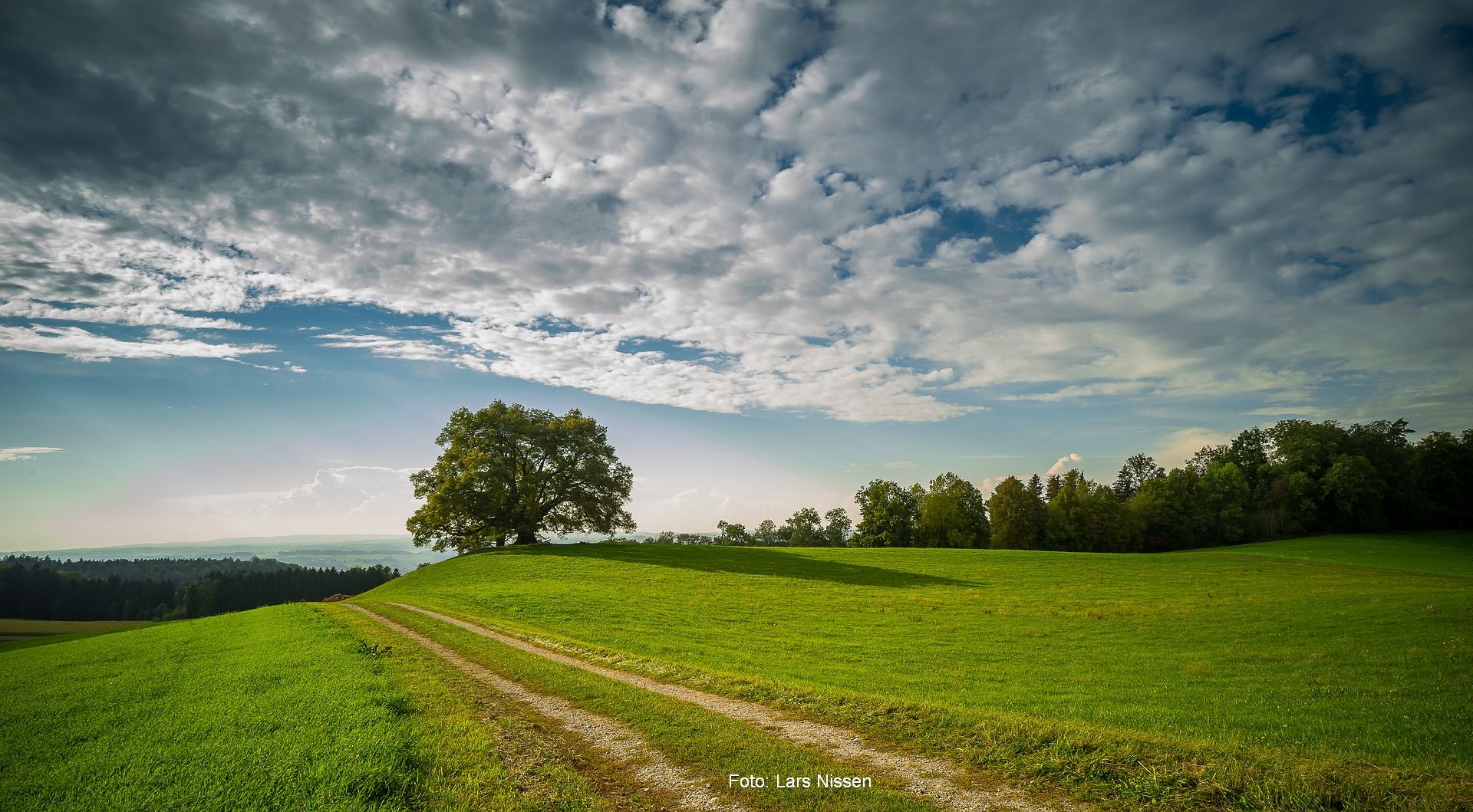 Landschaft - Foto Lars Nissen