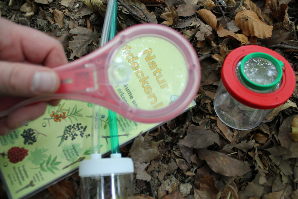 Masterplan Kaltenbronn - Zwischenbilanz