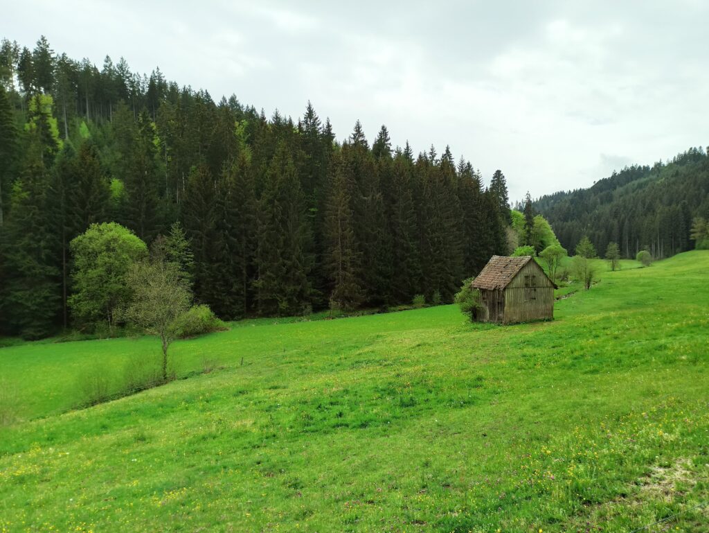 Alpirsbacher Tourentipp Zinsbachtal